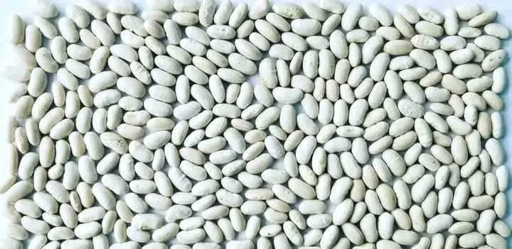 White Beans